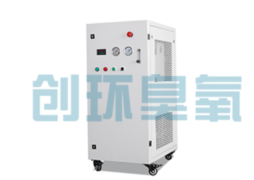玉树石斑鱼养殖水质调控完整指南:臭氧发生器配置与操作步骤