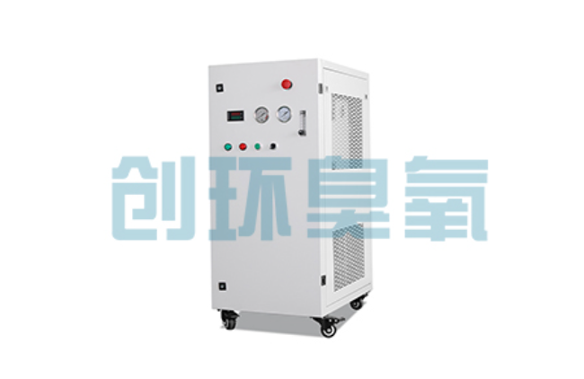 玉树比传统换水更高效?臭氧发生器在石斑鱼养殖中的水质净化原理解析