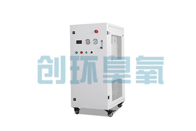 玉树比传统换水更高效?臭氧发生器在石斑鱼养殖中的水质净化原理解析